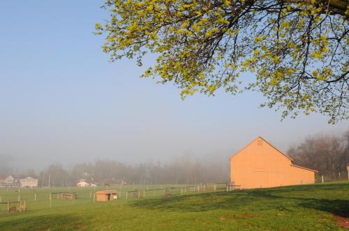 Frush Farm Bed & Breakfast