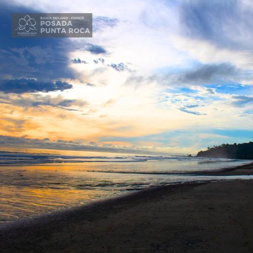 Excellents PUNTA ROCA