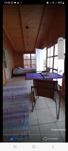 Hostal Acuariano Piscoelqui