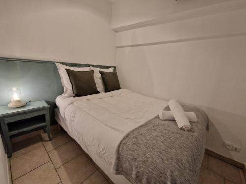 Echappee royale au pied du chateau, Hyper-Centre - Royal escape at foot of castle, Hyper-Centre in Blois