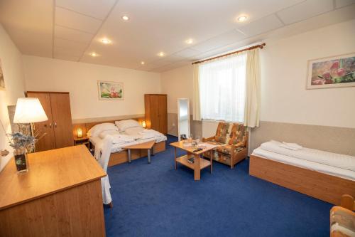 Hotel Allvet - Drnovice