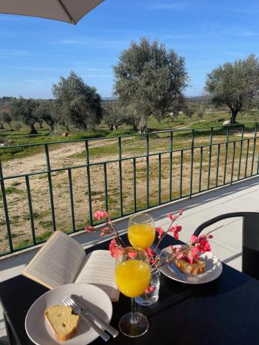 Apkārtne, Quinta da Mouracha in Penamakora