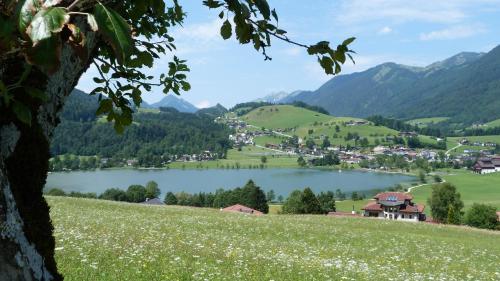 Hotels Image