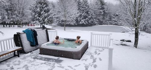 Mountain Blue Vista - Luxury retreat near Ski resorts with Pond, Firepit and Hot Tub