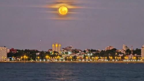 Hotel Los Chow Chow near Libertador General José de San Martín Airport