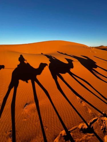 Merzouga Luxurious Camp