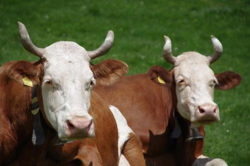 斯伯塔尔姆酒店