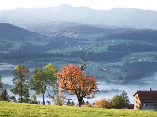 Haus Adlerhorst - image 2