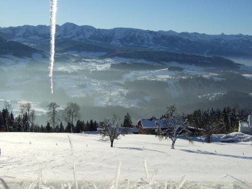 Haus Adlerhorst - image 12