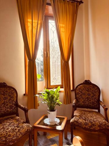 Hotel Tamar Mepe