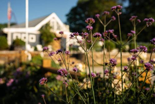 Cottages @ Julep Farms