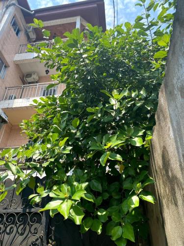 ระเบียง/ชานเรือน, Résidence Choiseul - Bonabéri (Residence Choiseul - Bonaberi) in โบนาเมรี
