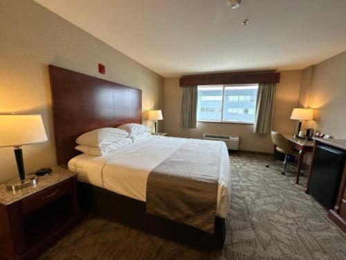 Medallion Inn and Suites