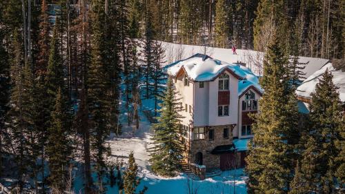 Winterleaf home - Lizard Head, CO