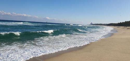 Beach, Gangneung Sacheon beach Happy House in Gangneung-si