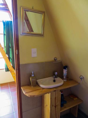 Colibri Eco Lodge & Camping