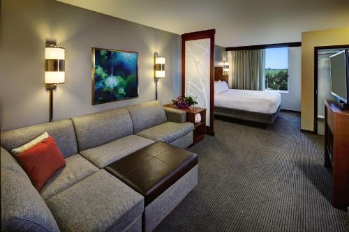 1 king bed, 1 sofa bed