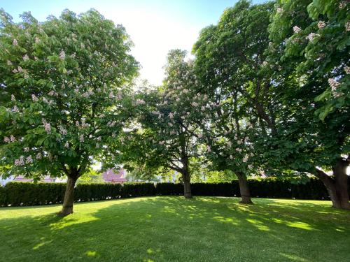 Gasthof Rössle Eberhardzell Gasthof Rössle Eberhardzell