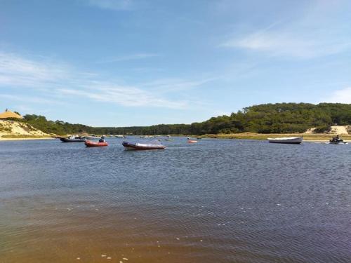 Villa Cocoon Contis océan à 900m (Villa Cocoon Contis ocean a 900m) in Lit-Et-Mixe