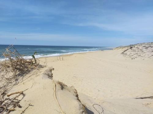 Villa Cocoon Contis océan à 900m (Villa Cocoon Contis ocean a 900m) in Lit-Et-Mixe