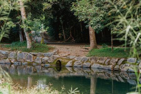 Valley Views Lodge- Country home in Port Douglas