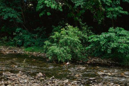 Valley Views Lodge- Country home in Port Douglas