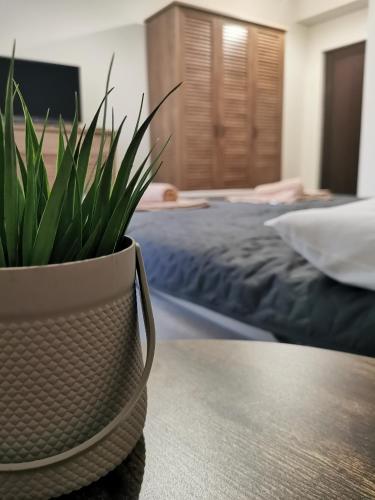 Youtopia Riverside Youtopia Riverside