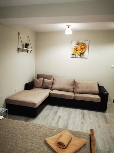 Youtopia Riverside Youtopia Riverside