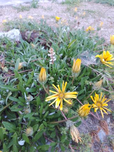 Lispusada Agriturismo Adults Only