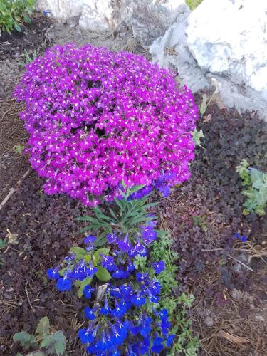 Lispusada Agriturismo Adults Only