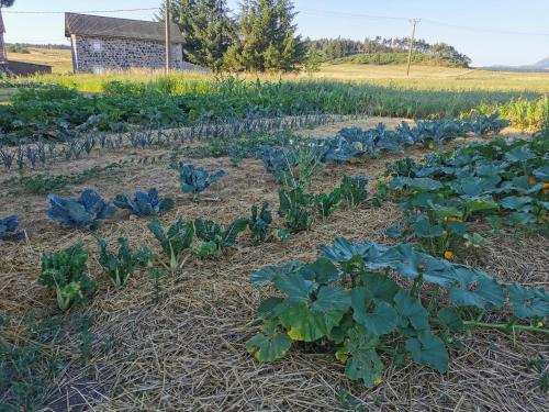 La Rose des Vents - main image