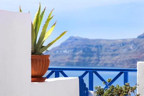 Esperas - image 12
