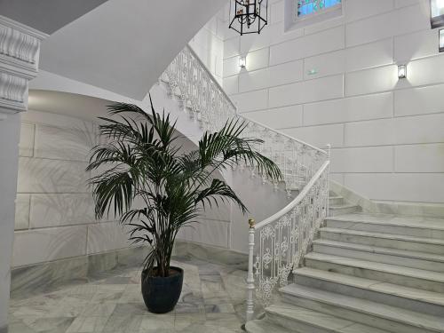 El Anfitrión - Palacio Argüeso