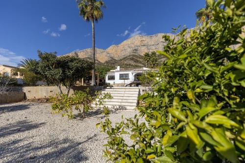 บริการและสิ่งอำนวยความสะดวก, Casa Banyan in มอนต์โก เด โตสกามาร์