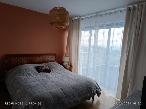 Les Palmiers - image 10