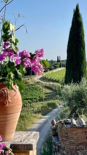 La Terrazza sul Chianti - Apartment - Castelnuovo Berardenga