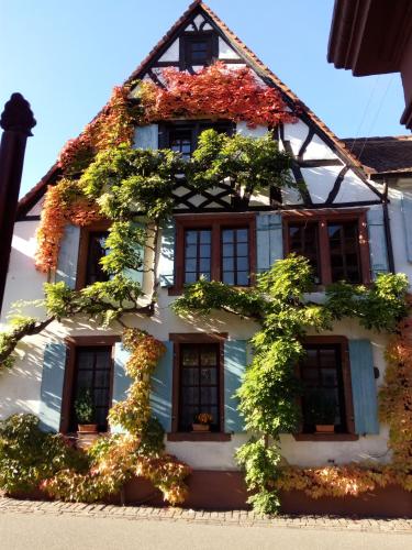 Im Alten Kaufhaus - Apartment - Rhodt unter Rietburg