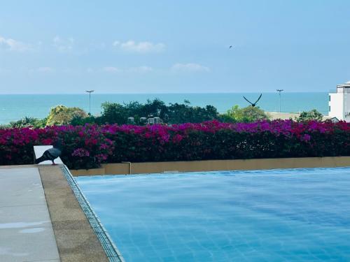 Seaview beach room Lumpini-pool and gym face to ocean