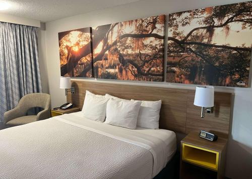King Room - Disability Access/Non-Smoking