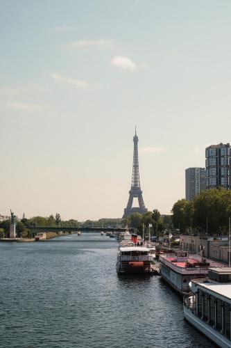 Veeve - Beaugrenelle Skies - image 4