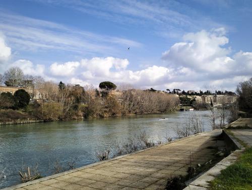 Vista sul Tevere, Rome (photo 4)