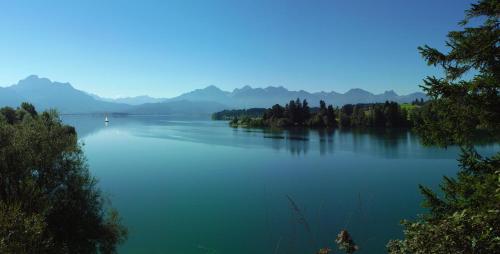 Ferienwohnung Forggensee