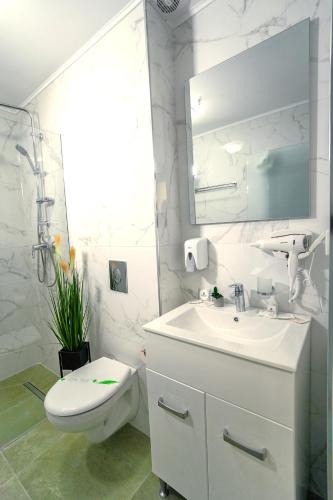 Sir Fundeni Hotel Room Type - Standard Double Room Sir Fundeni Hotel Room Type - Standard Double Room