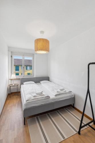 Charming Apartments, Just 27 Minutes to Zurich Center