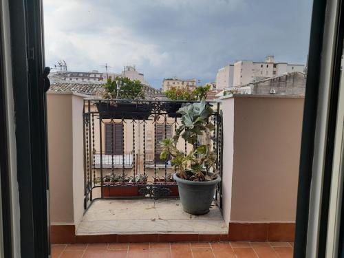 Un passo dal Massimo, Palermo (fotografie 10)