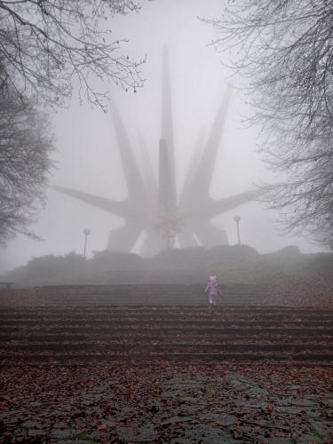 Casa Maia - image 14