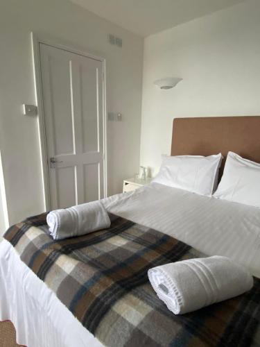 Cadgwith Cove Inn - image 13
