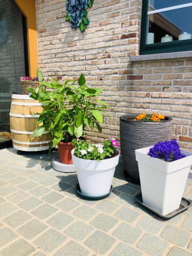 Gastenkamer met jacuzzi in de Vlaamse Ardennen