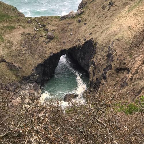 Cadgwith Cove Inn - image 11