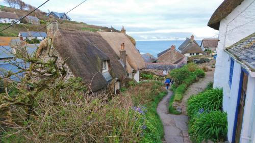Cadgwith Cove Inn - main image